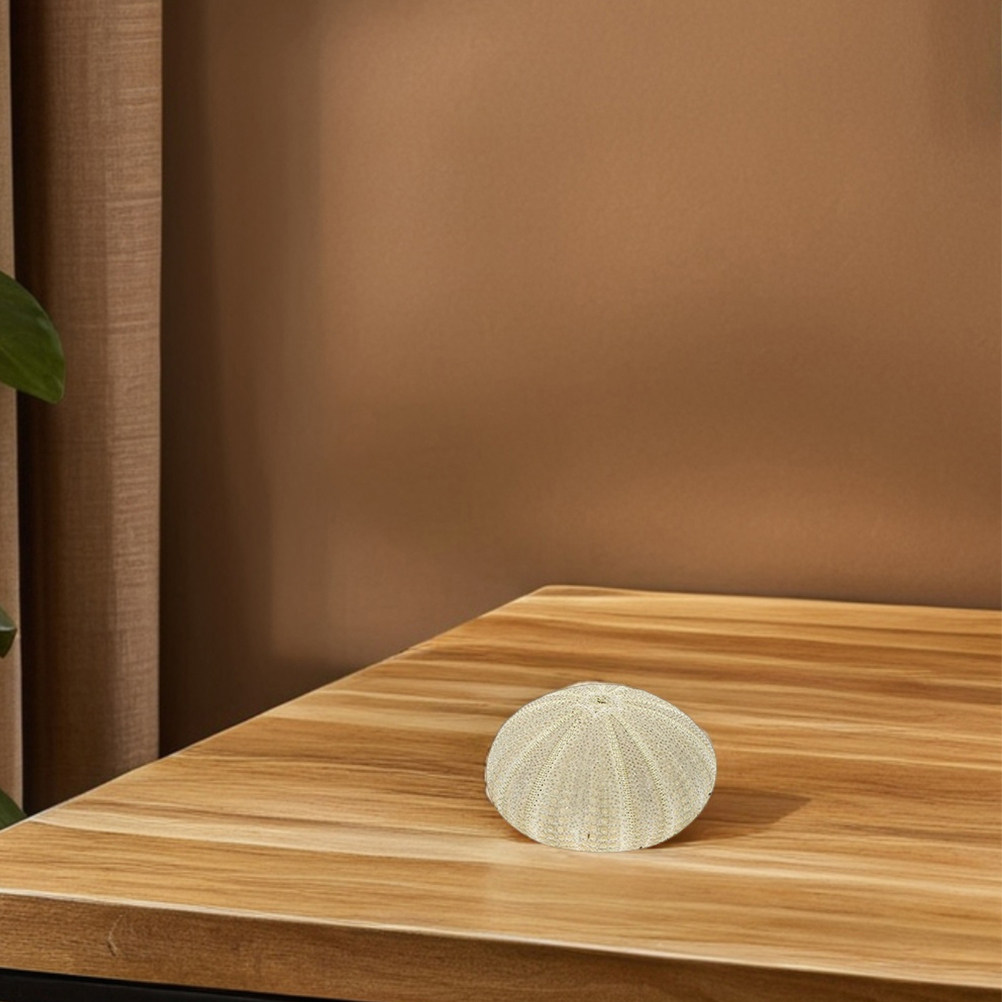 18個入りウニの殻 花瓶の装飾材 天然素材 ホームデコレーシ - Art Craft Decoration のレビューと価格