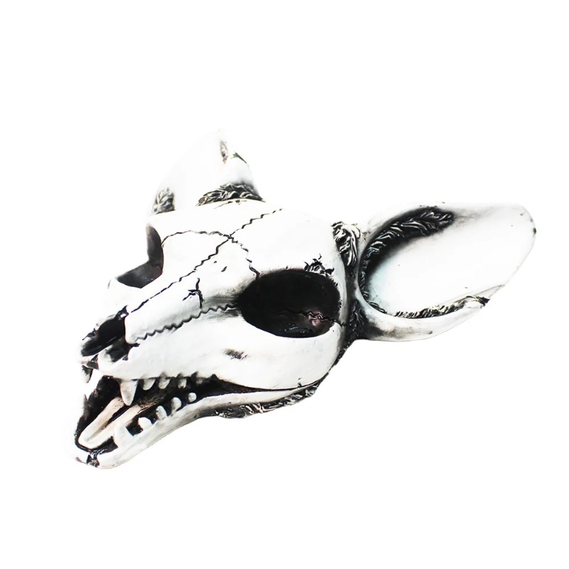 ステレオフォックススカル壁掛け飾り - 20CM ハロウィン - Art Craft Bar のレビューと価格